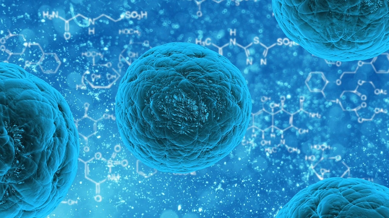 entdecken sie innovative lösungen und umfassende informationen im gesundheitswesen. erfahren sie mehr über die neuesten trends, technologien und dienstleistungen, die die gesundheitsversorgung verbessern.