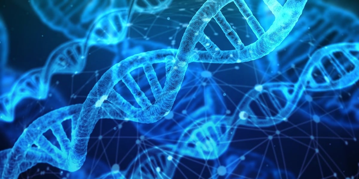Welche technologischen Innovationen werden 2024 unser Leben verändern?