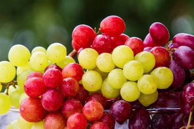 Warum sind Bio-Produkte nicht immer die bessere Wahl?